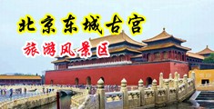 爆操美女视频中国北京-东城古宫旅游风景区